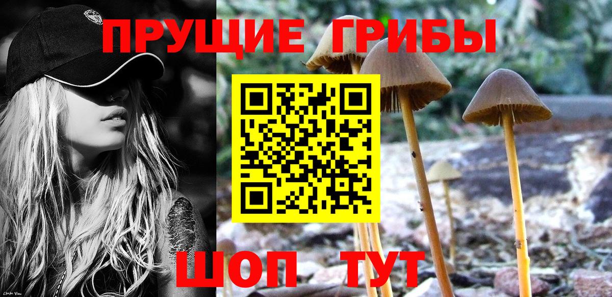 Галлюциногенные грибы прущие грибы Тимашёвск