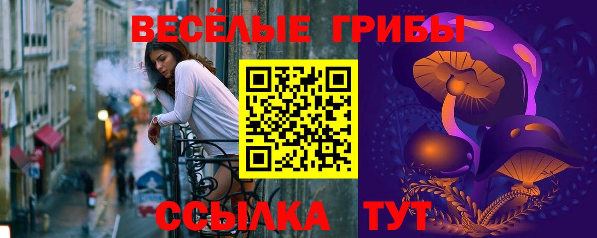 Тимашёвск  Псилоцибиновые грибы Magic Shrooms  Псилоцибиновые грибы Psilocybe  Вход с VPN 